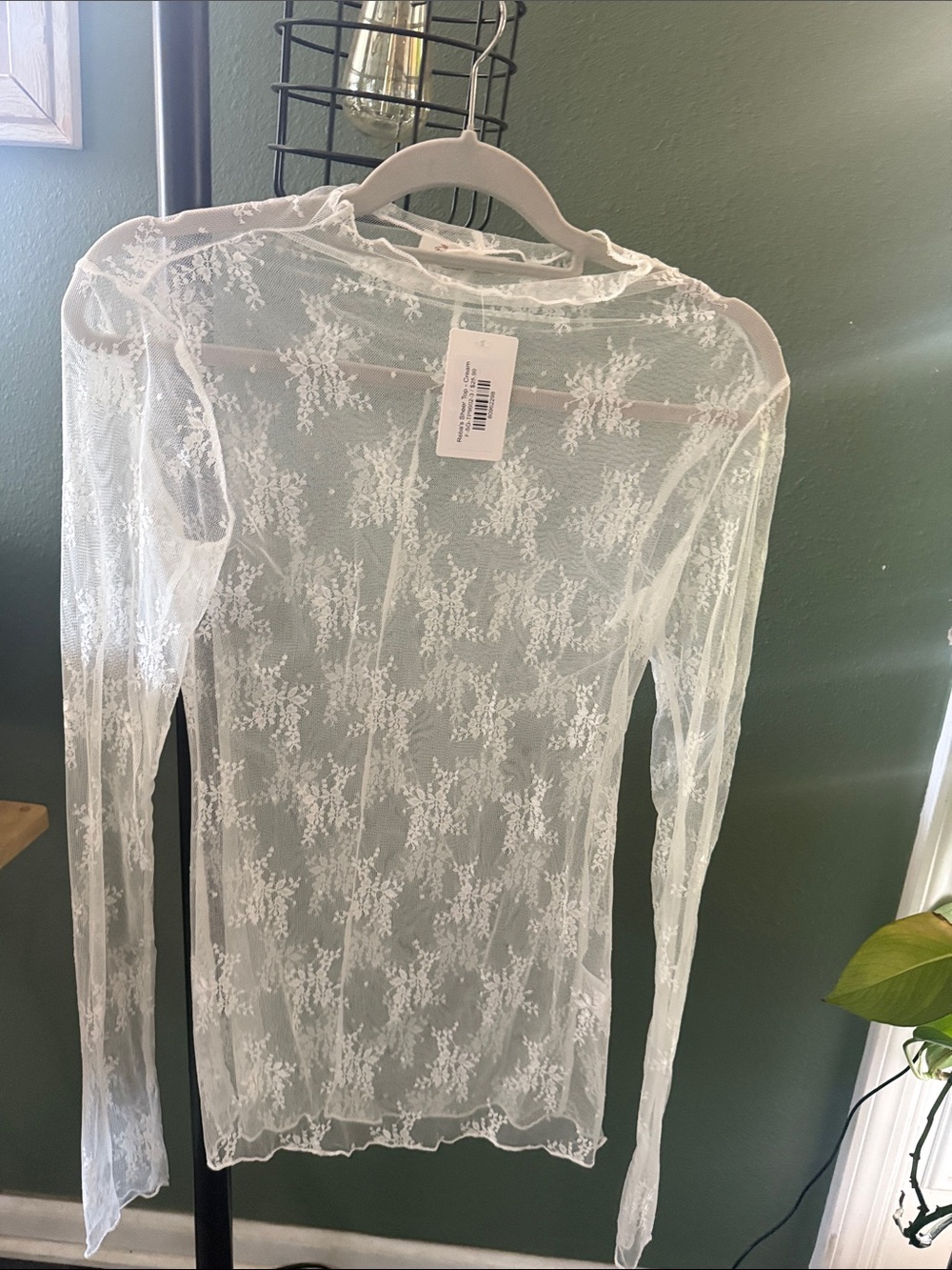 Sweet Genius Cream Sheer Floral Lace Top